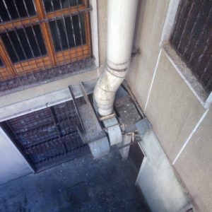 IMG_0961